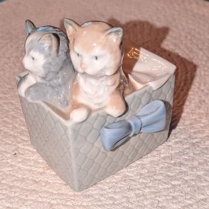 NAO kittens gift